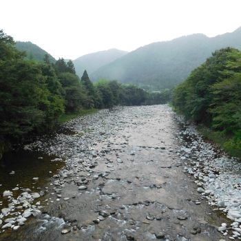 DSCN4115.JPG