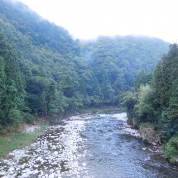 DSCN4116.JPG