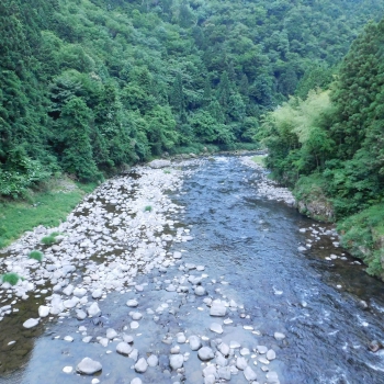 DSCN4117.JPG