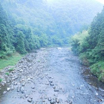 DSCN4121.JPG