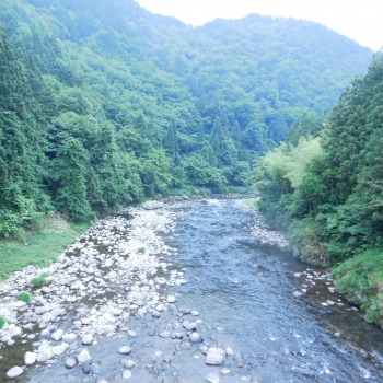 DSCN4125.JPG