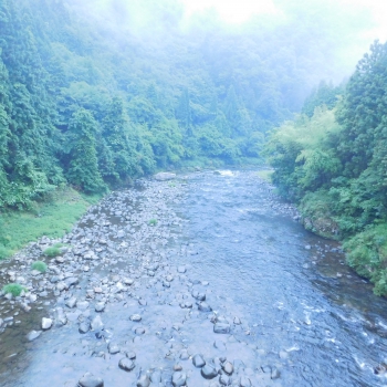 DSCN4129.JPG