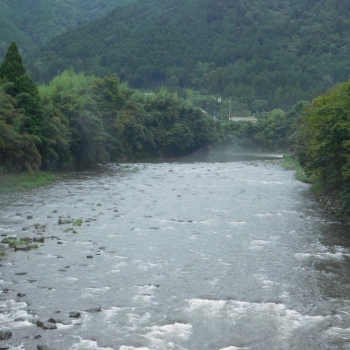 DSCN4241.JPG