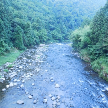DSCN4263.JPG