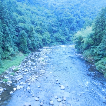 DSCN4300.JPG