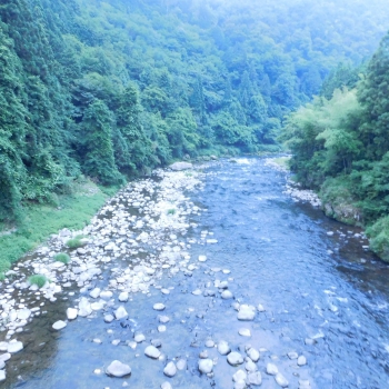 DSCN4304.JPG