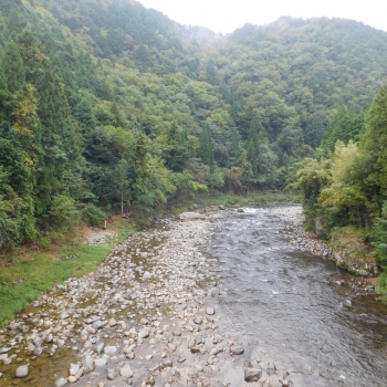 DSCN4305.JPG