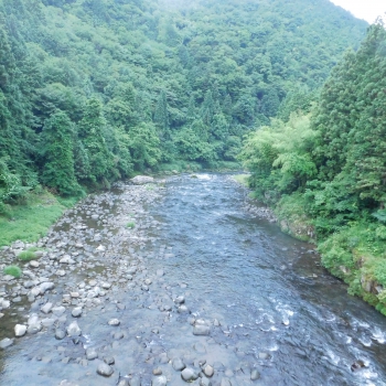 DSCN4308.JPG