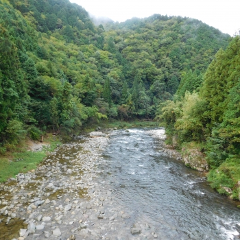 DSCN4309.JPG