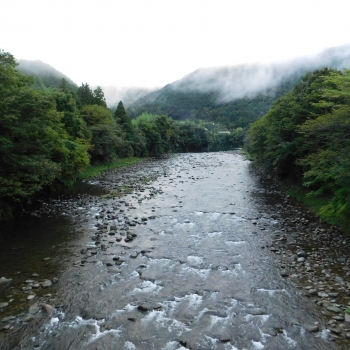 DSCN4312.JPG
