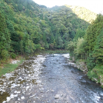 DSCN4313.JPG