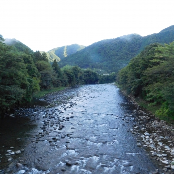 DSCN4316.JPG