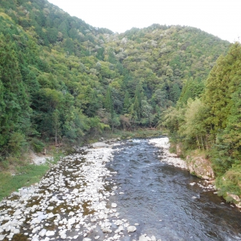 DSCN4317.JPG