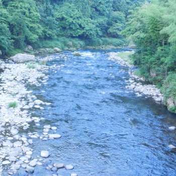 DSCN4317.JPG