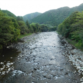 DSCN4320.JPG