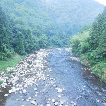 DSCN4320.JPG