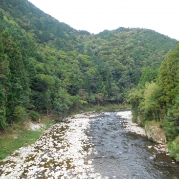 DSCN4321.JPG