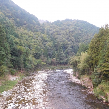 DSCN4325.JPG
