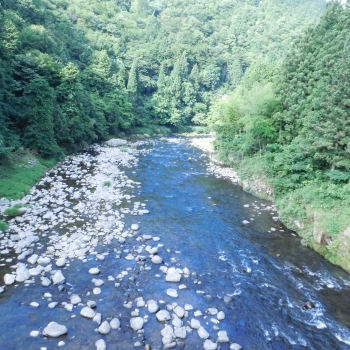 DSCN4334.JPG