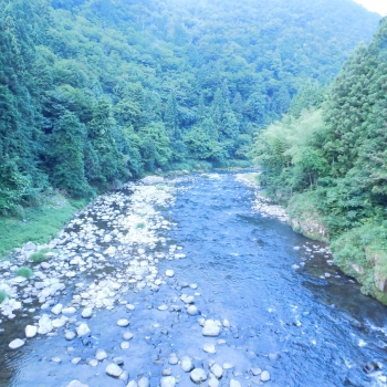 DSCN4341.JPG