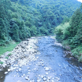 DSCN4347.JPG