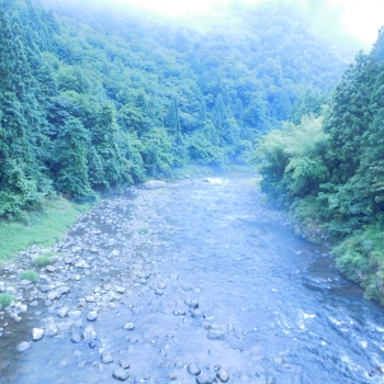 DSCN4351.JPG