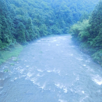 DSCN4355.JPG