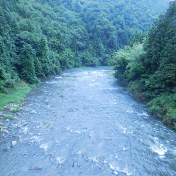 DSCN4373.JPG