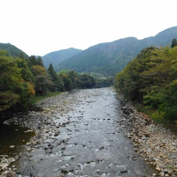 DSCN4420.JPG