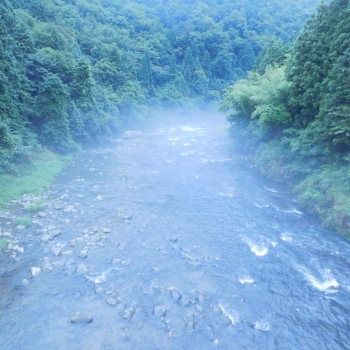 DSCN4434.JPG