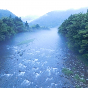 DSCN4437.JPG