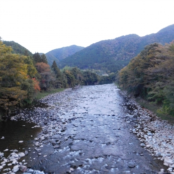 DSCN4452.JPG
