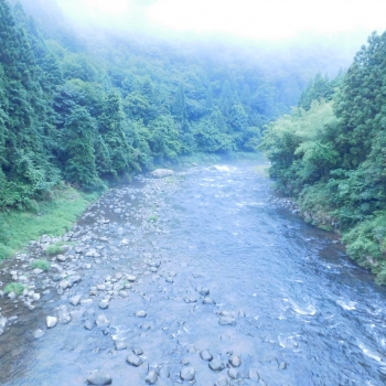DSCN4455.JPG