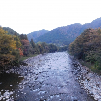 DSCN4456.JPG