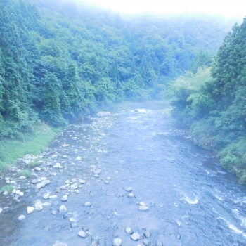 DSCN4459.JPG