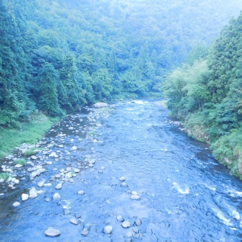 DSCN4463.JPG