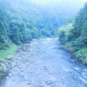 DSCN4467.JPG