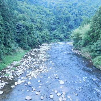 DSCN4471.JPG