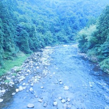 DSCN4479.JPG