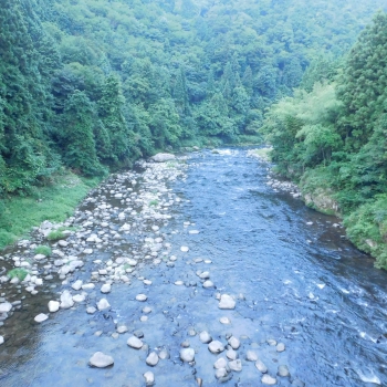 DSCN4483.JPG