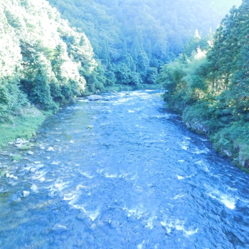 DSCN4489.JPG