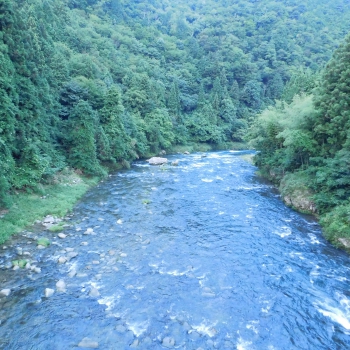 DSCN4493.JPG