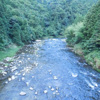 DSCN4506.JPG