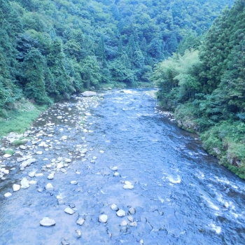 DSCN4510.JPG