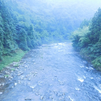 DSCN4518.JPG