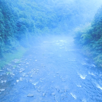 DSCN4522.JPG