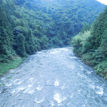 DSCN4530.JPG