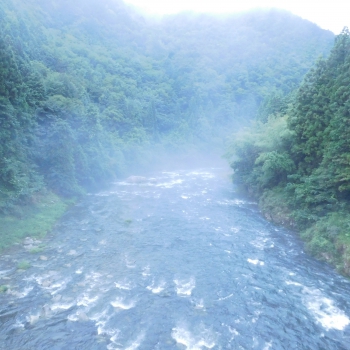 DSCN4536.JPG