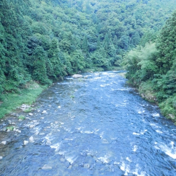 DSCN4540.JPG
