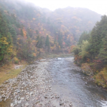 DSCN4541.JPG